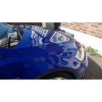 Autobrite Direct HELLSHINE: Liquid Abyss Detailing & Paint Correction > WAXES-SEALANTS