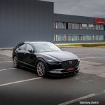 Eibach Σετ ανάρτησης, Ελατήρια - E10-55-022-02-22