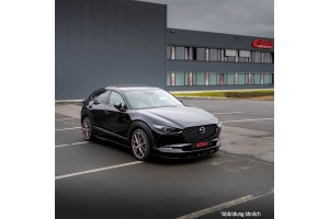 Eibach Σετ ανάρτησης, Ελατήρια - E10-55-022-02-22