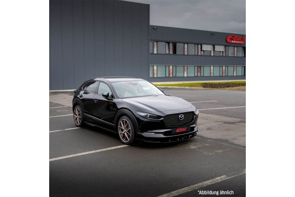 Eibach Σετ ανάρτησης, Ελατήρια - E10-55-022-02-22