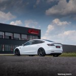 Eibach Σετ ανάρτησης, Ελατήρια - E10-87-001-08-22