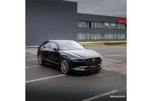 Eibach Σετ καροσσερί, Ελατήρια - E10-55-022-02-22