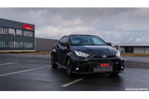 Eibach Σετ καροσσερί, Ελατήρια - E10-82-092-01-22