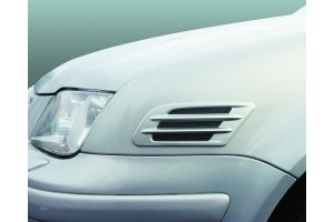 Αεραγωγοι Πλευρικοι