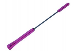 Type-R Κεραία Αυτοκινήτου Οροφής Βιδωτή για Ραδιόφωνο