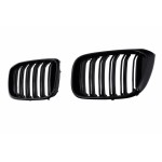 Κεντρικές Γρίλιες Νεφρών Κατάλληλες Για Bmw X3 G01 (11.2017-2021) X4 G02 (02.2018-2021) Διπλή Ρίγα Σε Μαύρο Χρώμα Πιάνου
