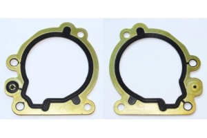 Elring Φλάντζα, Αντλία Καυσίμου - 246.460