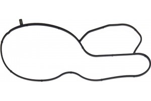 Elring Φλάντζα, Αντλία Νερού - 249.160