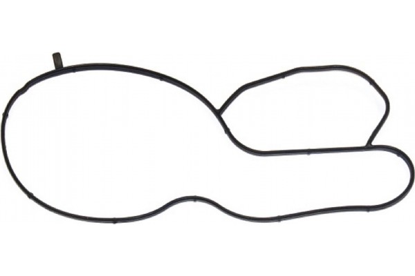 Elring Φλάντζα, Αντλία Νερού - 249.160