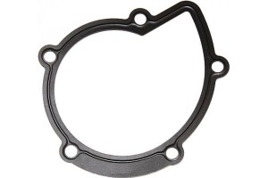 Elring Φλάντζα, Αντλία Νερού - 394.280