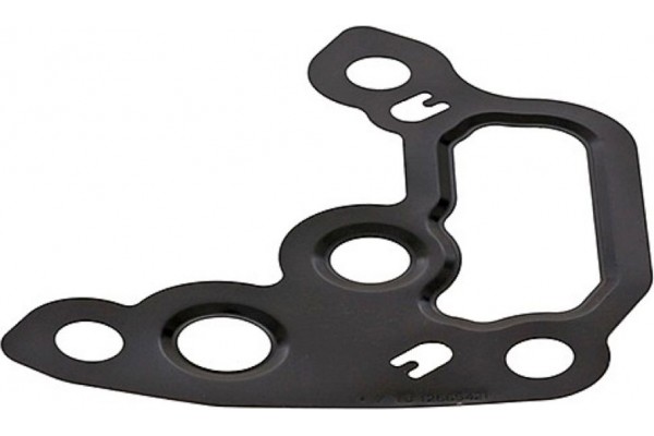 Elring Φλάντζα, Αντλία Υποπίεσης - 731.042