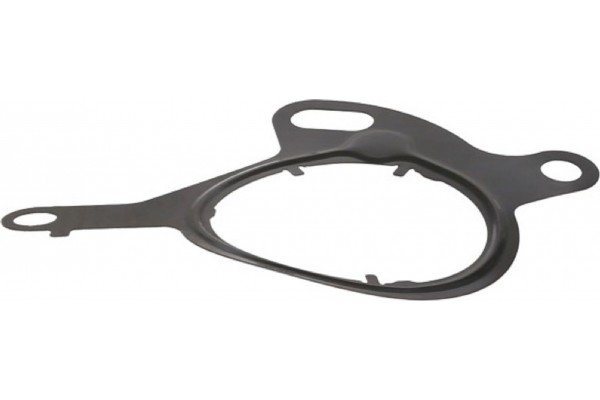 Elring Φλάντζα, Αντλία Υποπίεσης - 767.120