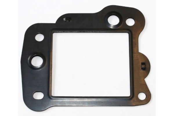 Elring Φλάντζα, Βαλβίδα Agr - 449.550