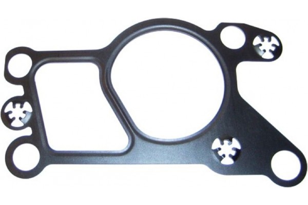 Elring Φλάντζα, Βαλβίδα Agr - 752.070