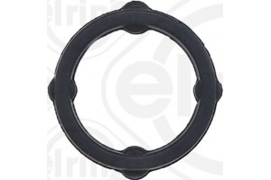 Elring Φλάντζα, Περίβλημα Εγκεφάλου - 560.780