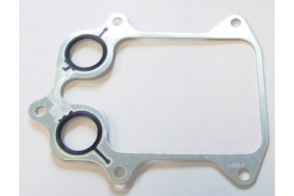 Elring Φλάντζα, Ψυγείο Λαδιού - 747.820