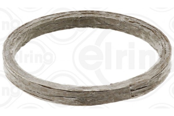 Elring Φλάντζα, Υπερπληρωτής - 737.720