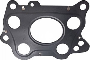 Elring Φλάντζα, Υπερπληρωτής - 586.331