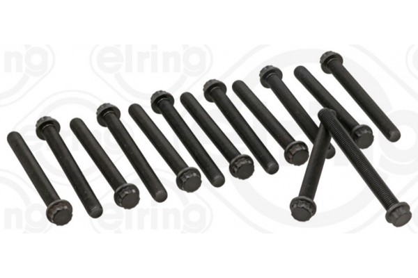 Elring Σετ Βίδες Κυλινδροκεφαλής - 060.190