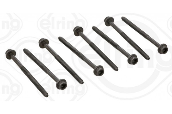 Elring Σετ Βίδες Κυλινδροκεφαλής - 061.330