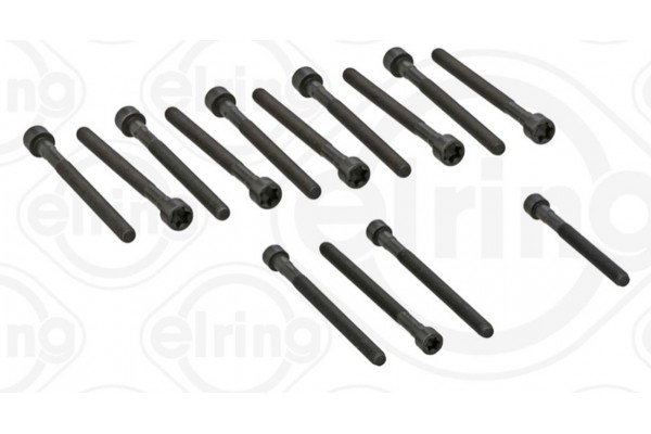 Elring Σετ Βίδες Κυλινδροκεφαλής - 270.190
