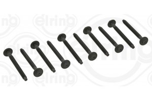 Elring Σετ Βίδες Κυλινδροκεφαλής - 481.900