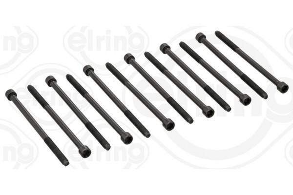 Elring Σετ Βίδες Κυλινδροκεφαλής - 497.410