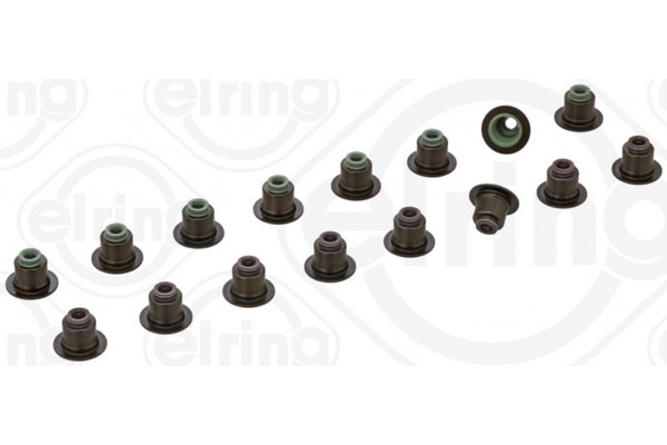 Elring Σετ στεγανοπ., Στέλεχος Βαλβίδας - 398.450