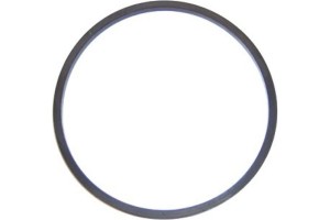 Elring Στεγανοποιητικός δακτύλιος, Φίλτρο Καυσίμου - 731.269