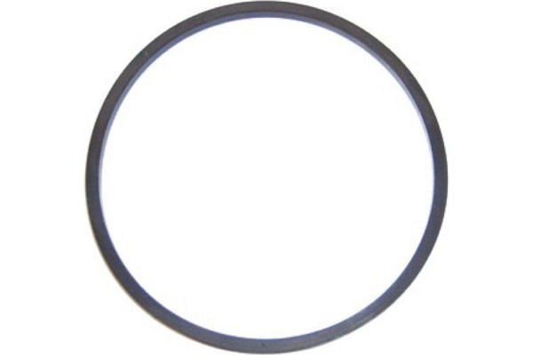 Elring Στεγανοποιητικός δακτύλιος, Φίλτρο Καυσίμου - 731.269