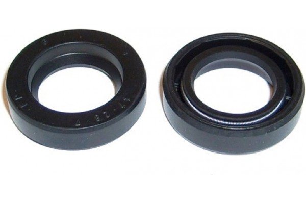 Elring Στεγανοποιητικός Δακτύλιος - 050.300