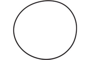 Elring Στεγανοποιητικός Δακτύλιος - 126.001