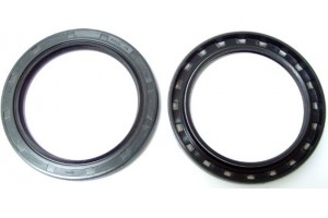 Elring Στεγανοποιητικός Δακτύλιος - 135.420