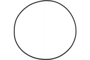 Elring Στεγανοποιητικός Δακτύλιος - 299.878