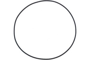 Elring Στεγανοποιητικός Δακτύλιος - 299.878