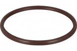 Elring Στεγανοποιητικός Δακτύλιος - 331.300