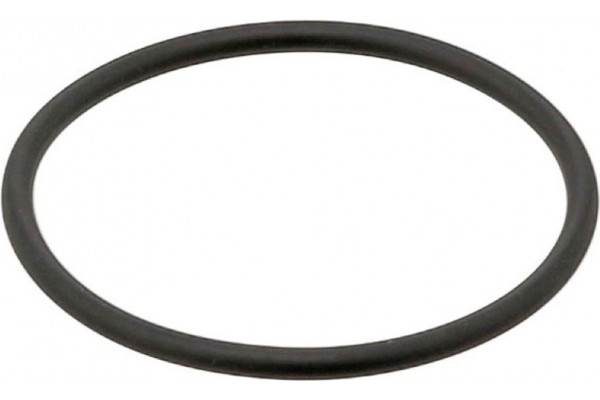 Elring Στεγανοποιητικός Δακτύλιος - 382.550