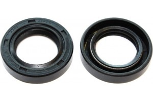 Elring Στεγανοποιητικός Δακτύλιος - 591.777