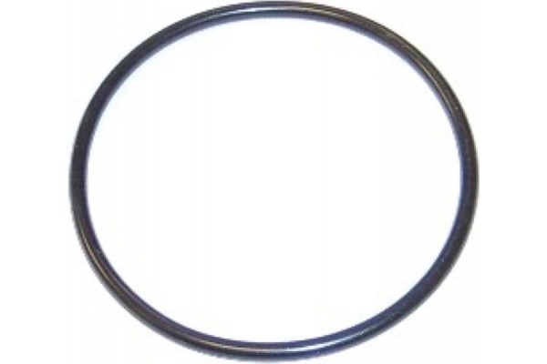 Elring Στεγανοποιητικός Δακτύλιος - 751.830