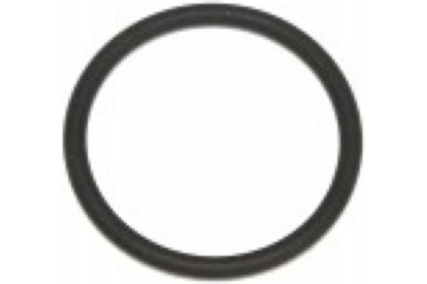 Elring Στεγανοποιητικός Δακτύλιος - 904.260