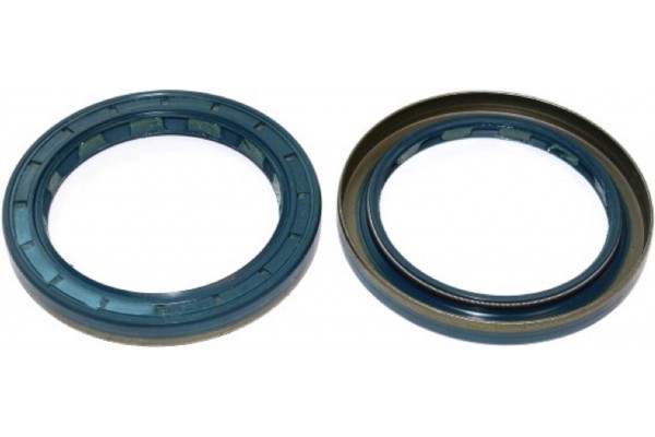 Elring Τσιμούχα, Διαφορικό - 008.304