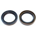 Elring Τσιμούχα, Διαφορικό - 539.581