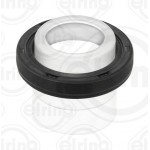 Elring Τσιμούχα, εκκεντρ. Άξονας - 523.650