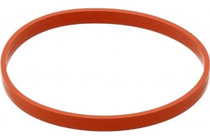 Elring Τσιμούχα, Περίβλημα Πολλαπλής Εισαγωγής - 576.100