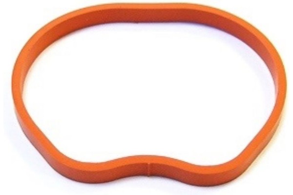 Elring Τσιμούχα, Πολλαπλή Εισαγωγής - 025.260