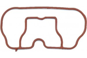 Elring Τσιμούχα, Πολλαπλή Εισαγωγής - 025.271