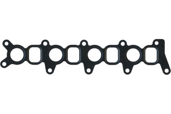 Elring Τσιμούχα, Πολλαπλή Εισαγωγής - 076.960