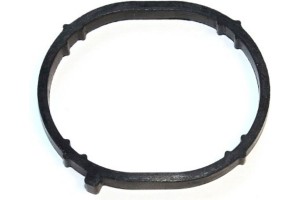 Elring Τσιμούχα, Πολλαπλή Εισαγωγής - 172.460