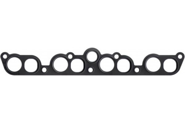 Elring Τσιμούχα, Πολλαπλή Εισαγωγής - 646.171