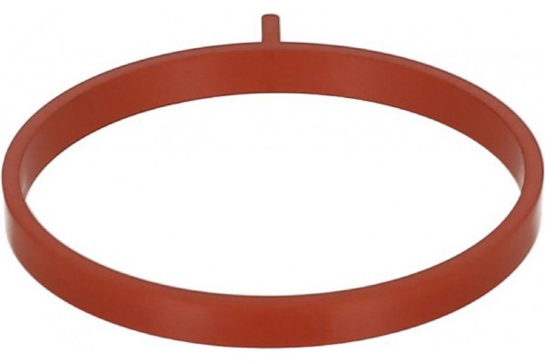 Elring Τσιμούχα, Πολλαπλή Εισαγωγής - 697.600